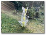 garten16_img_4643il.jpg